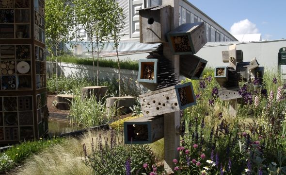 ChelseaFlowerShow2009_1