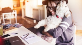 Jak wybrać psa do małego mieszkania?