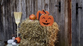 Jesienny gadżet: Halloween’owy koszyk na cukierki Dom, LIFESTYLE - Robisz lampiony z dyni? Twoje dzieci przebierają się na Halloween? Teraz czas na prawdziwe wyzwanie – zrób to sam: Halloween’owy koszyk na słodycze!