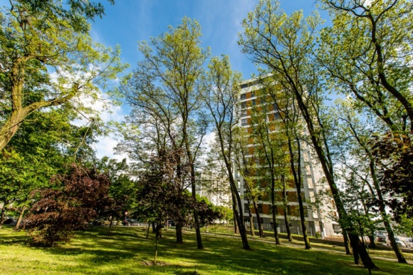 MdM w 2017 roku się skończyło? Nie w Poznaniu! Dom, LIFESTYLE - Kupujesz mieszkanie, wprowadzasz się do niego od zaraz, wpłacasz tylko część kwoty, a resztę uzupełniasz dofinansowaniem z puli MdM z 2018 roku, która zostanie wypłacona w styczniu. To możliwe w Poznaniu. Gdzie szukać takich nieruchomości?