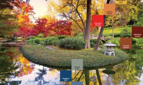 Kolory do towarzystwa w ogrodzie na jesień i zimę