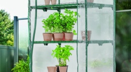 Zadbaj o ogród na wiosnę razem z Netto