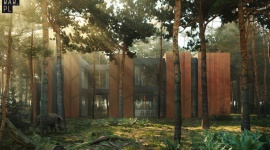 Dom jak las otoczony sosnami