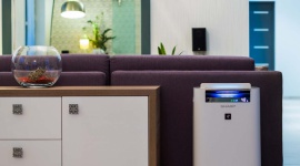 Smog groźny także wiosną Dom, LIFESTYLE - O smogu mówi się najgłośniej w sezonie grzewczym, kiedy to stężenie szkodliwych substancji w powietrzu jest najwyższe. Jednak w wielu polskich miastach zalecane przez WHO poziomy zabójczych cząsteczek przekroczone są również przez pozostałą część roku.