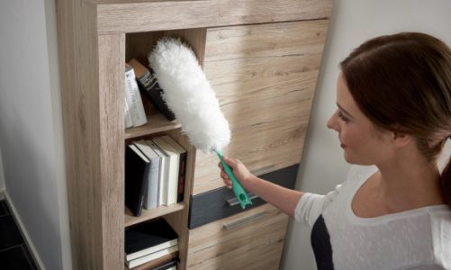 Pożegnaj się z zimowym kurzem