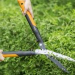 Żywopłot u „fryzjera” – odpowiednia pielęgnacja dzięki nożycom PowerGearTMX firm
