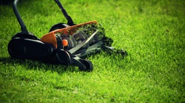 Przyjęcie na trawie – atrakcyjny trawnik w roli głównej Dom, LIFESTYLE - Lato sprzyja organizacji przyjęć na świeżym powietrzu, w przydomowych ogródkach. Oprócz odpowiednich mebli ogrodowych i menu powinniśmy zatroszczyć się o wygląd naszego trawnika, który jest jednym z ważniejszych elementów udanego przyjęcia.