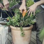 Balkon na 6! I sześć narzędzi, które pomogą nam zadbać o jego wygląd