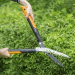 Żywopłot na 6! – odpowiednia pielęgnacja dzięki nożycom firmy Fiskars
