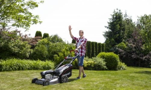 Zakładanie i pielęgnacja trawnika w sierpniu