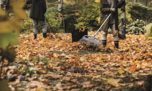 Jesienna pielęgnacja trawnika – nowe grabie do liści XactTM i kosz Ergo Pop-up