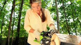 Drewno do kominka? Zbierz teraz, by dało ciepło zimą