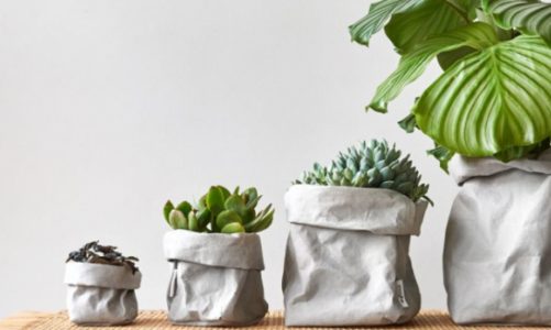 Wnętrza do kochania, czyli 5 sposobów na wiosenną metamorfozę mieszkania