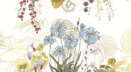 Łąki i ogrody na tapetach Muraspec Dom, LIFESTYLE - Natura w swej najpiękniejszej formie na tapetach Muraspec, czyli kwiaty. Kwitnące, pnące oraz bukiety. Tak realistyczne, że czasami aż dziwne, że nie pachną.