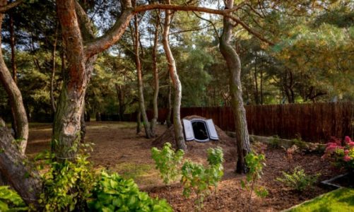 Nowy sezon, nowy ogród. Jakie rozwiązania dodadzą mu blasku?