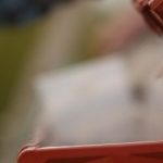 Wiosna na horyzoncie – dom i ogród gotowe na jej przyjście