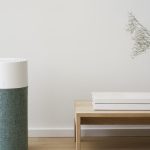 Wnętrzarski trend w 2021? Czyste powietrze