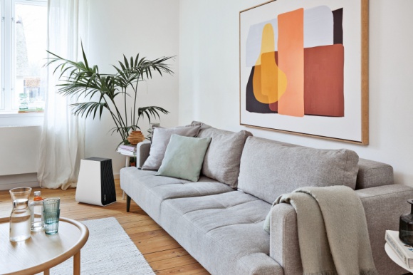 Dom, LIFESTYLE - Katar, duszności czy bóle głowy – to typowe objawy alergii. Z roku na rok przybywa osób, które mierzą się z uczuleniem na pyłki czy nawet na kurz, nie wspominając o osobach, które z powodu alergii nie mogą pozwolić sobie na posiadanie zwierząt.