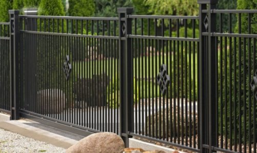 Zielony parkan – jakie rośliny posadzić przy ogrodzeniu?