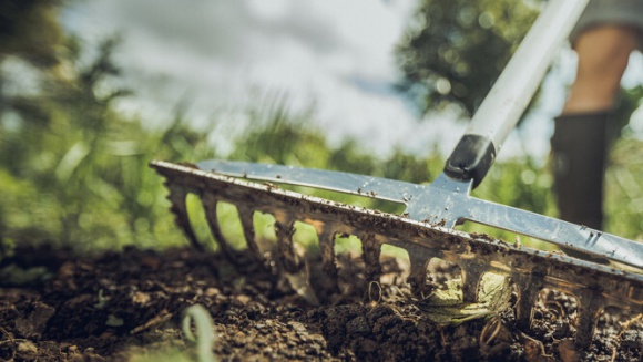 ABC zakładania trawnika w sierpniu