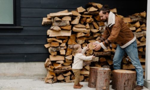 Jak i czym palić w kominkach? Postaw na ekologiczne rozwiązania.