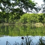 Uroki Wielkopolskiego Parku Narodowego – dlaczego warto tu mieszkać?