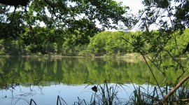 Dom, - Wielkopolski Park Narodowy położony w powiecie poznańskim to przepiękne miejsce i świetny wybór, jeśli chodzi o lokalizację zamieszkania. Zachęcamy do lektury artykułu, jeśli chcesz dowiedzieć się więcej na temat tego, dlaczego warto kupić mieszkanie właśnie tutaj!