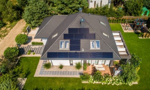 Czy rzeczywiście cena czyni cuda?