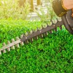 Jak dbać o spalinowy sprzęt ogrodniczy?