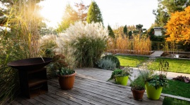 Dom, - To, co piękne, wymaga troski – i drewniane tarasy nie są od tej reguły wyjątkiem. A chcemy odpowiednio o nie zadbać. Przed nami jednak zima, czas drewnu niesprzyjający. Dlatego zapytaliśmy eksperta marki DLH, jak zadbać o taras, by cieszyć się nim także w kolejnym sezonie.